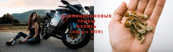 гидра Нязепетровск