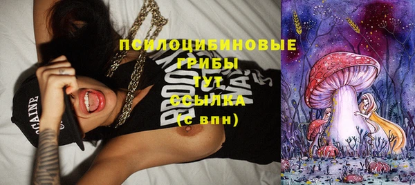 шишки Иноземцево