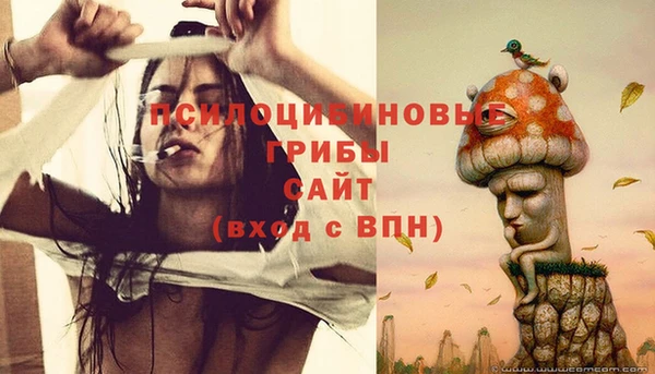 гидра Нязепетровск
